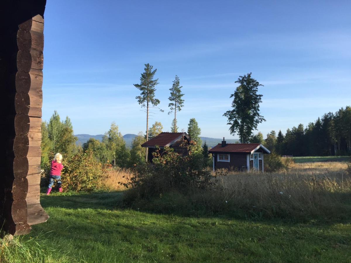 Vasa Ski Lodge โมรา ภายนอก รูปภาพ